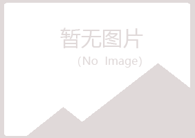 河池千城保险有限公司